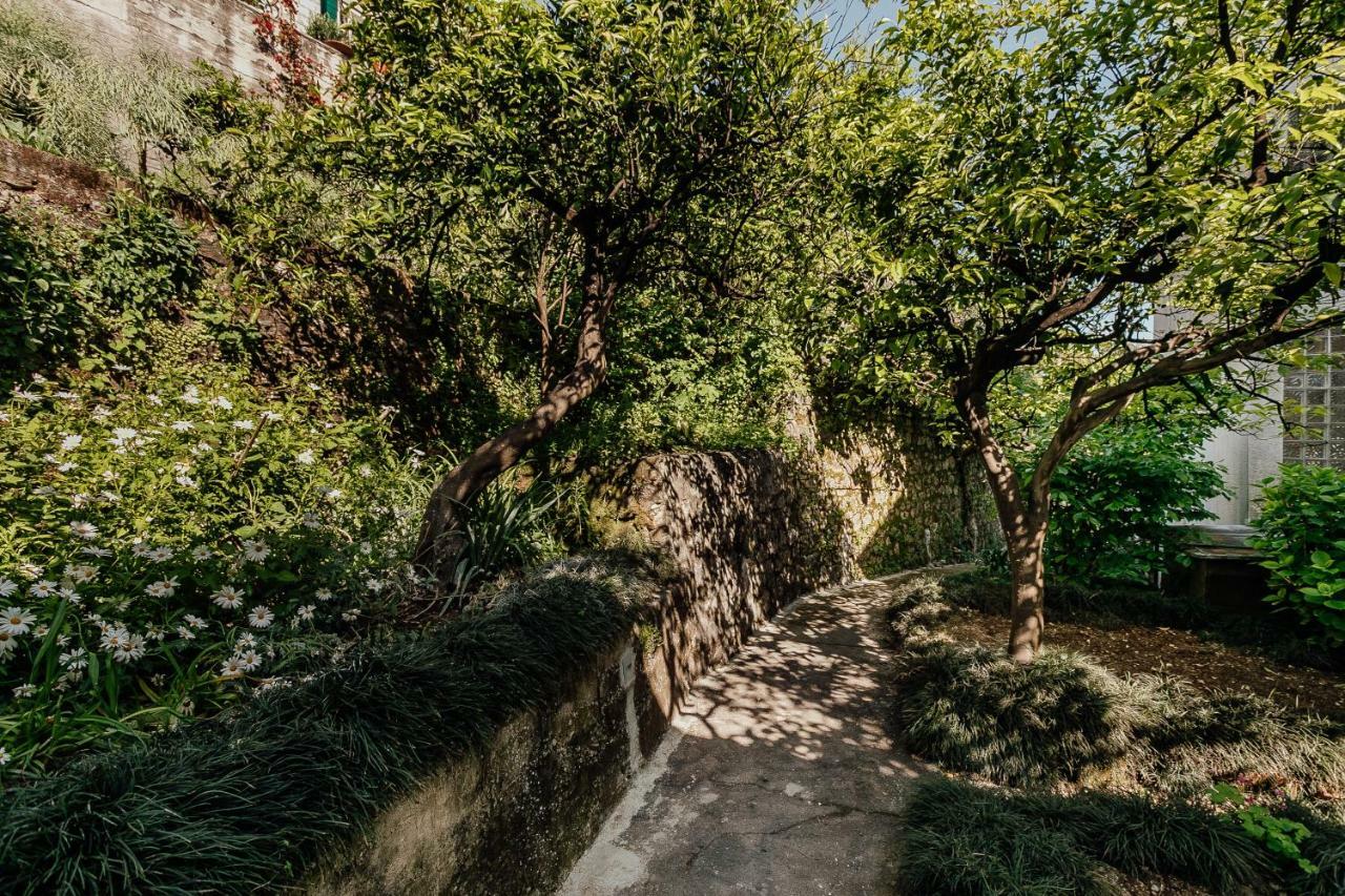 Boka Apartment 4 Herceg Novi Exteriör bild